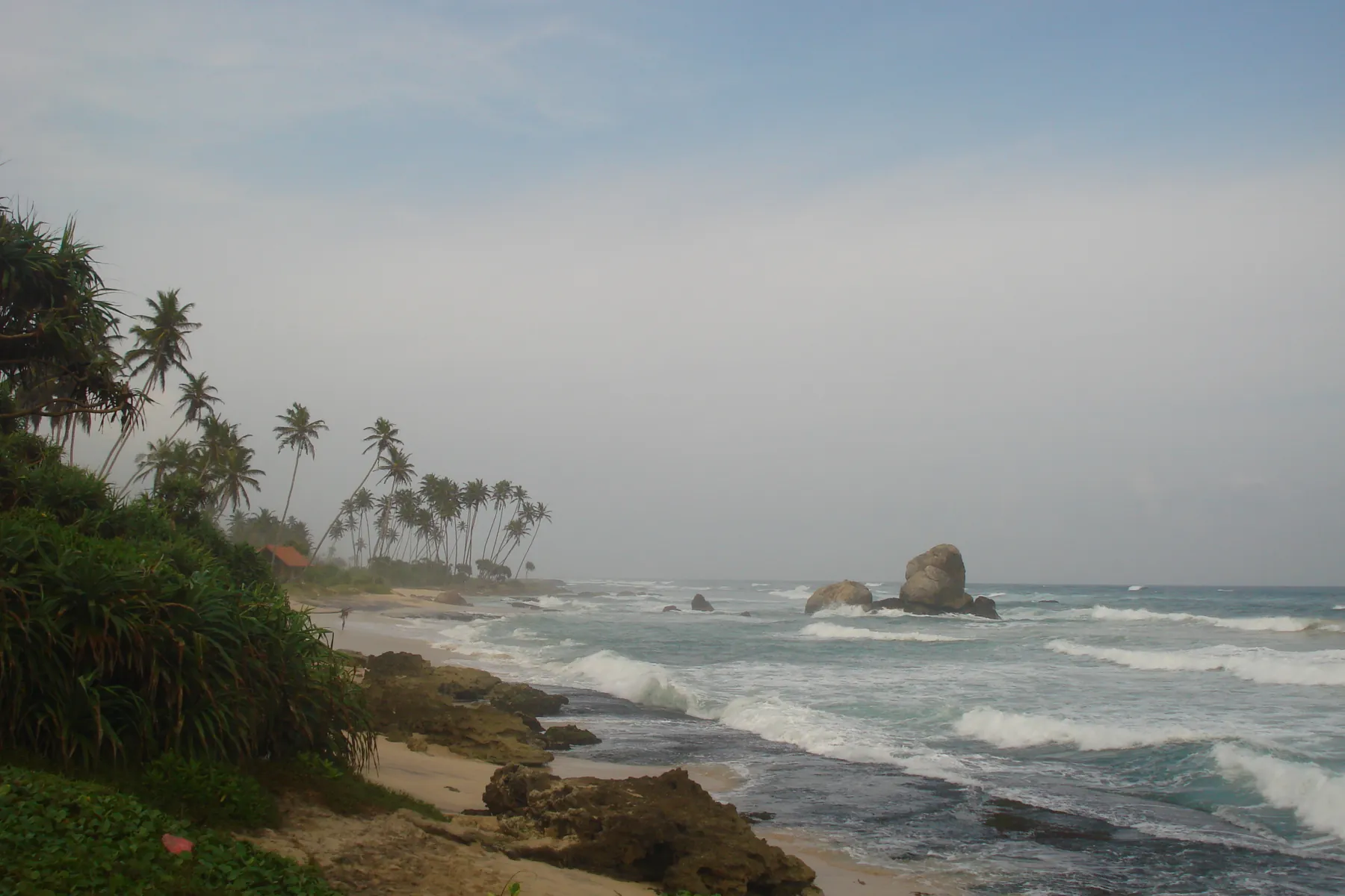 Palm trees, rocks and breaking waves on a grey day near Koggala beach.
