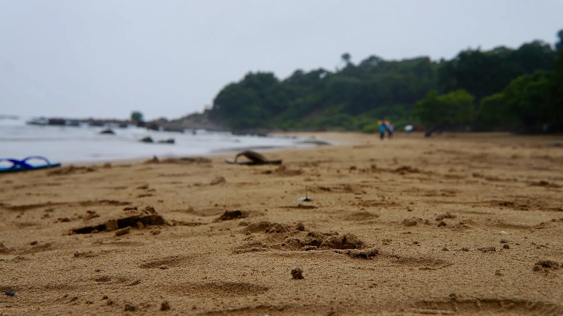 Low view of footprinted sand on Marble Beach, with rocks and a wooded headland softly blurred behind.
