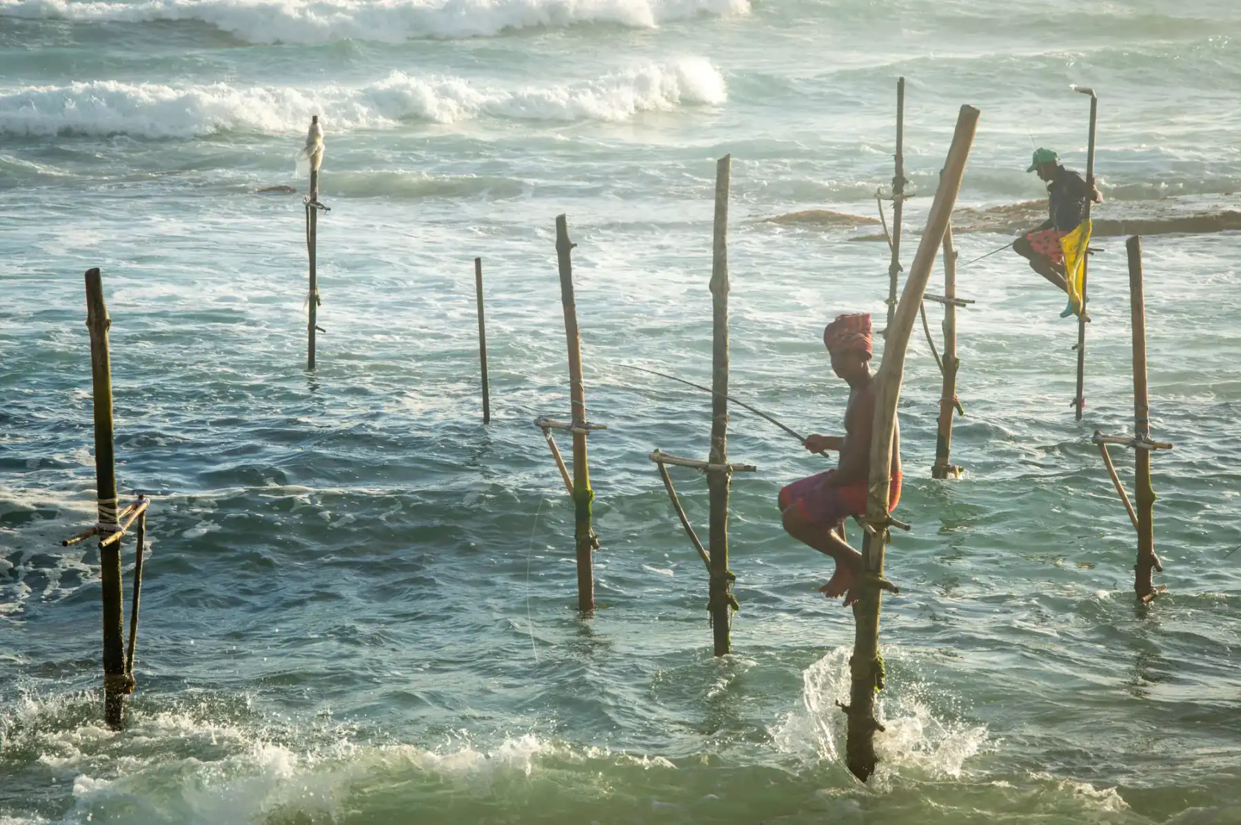 Stilt fishermen perched on poles in the shallows on Sri Lanka's south coast.