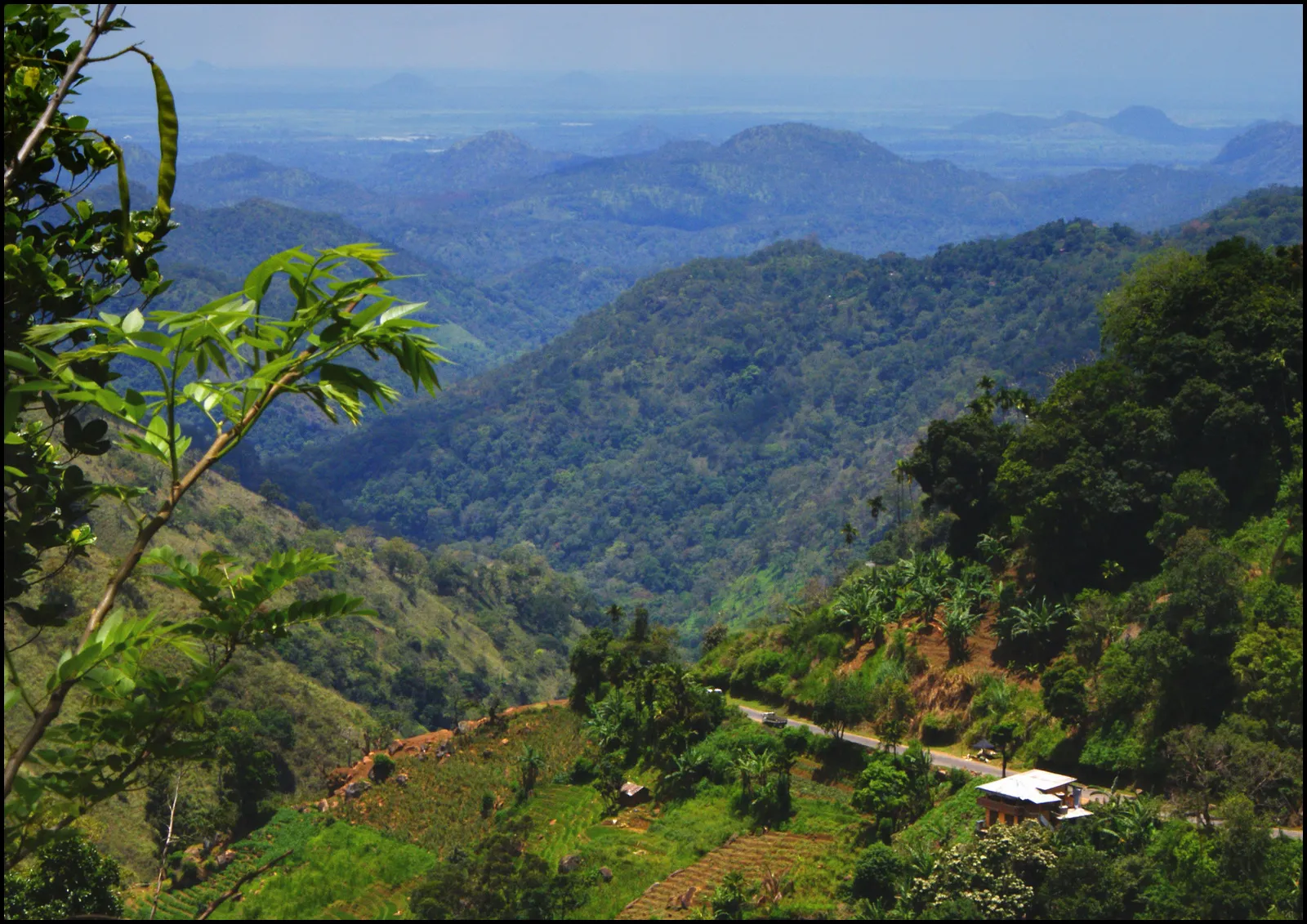 Looking south through the Ella Gap, with green forested hills falling away to the lowlands towards the coast.