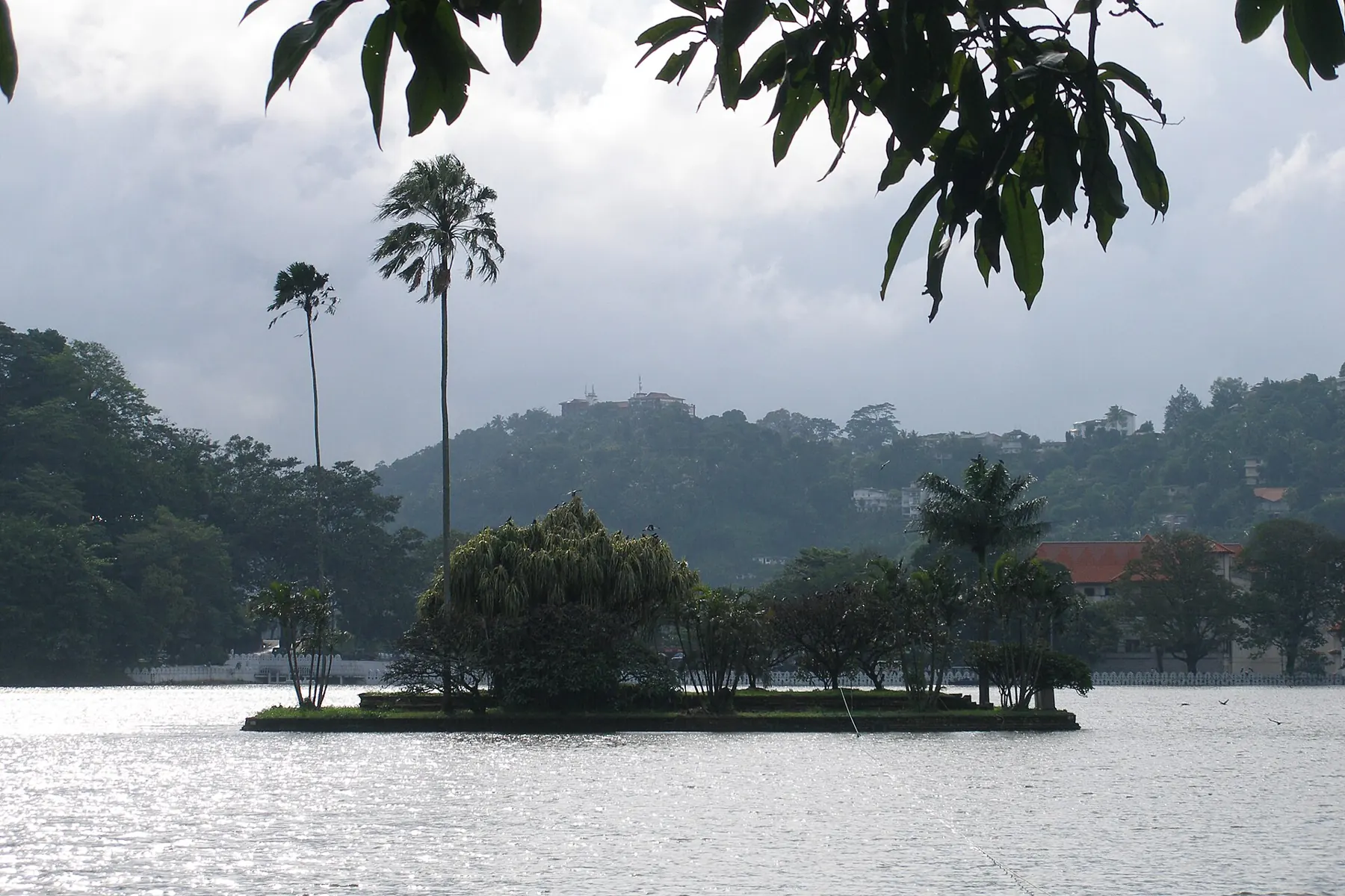 The small tree covered island in Kandy Lake, with tall palms and forested hills under a cloudy sky.